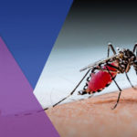 5 tips to prevent dengue this rainy season
