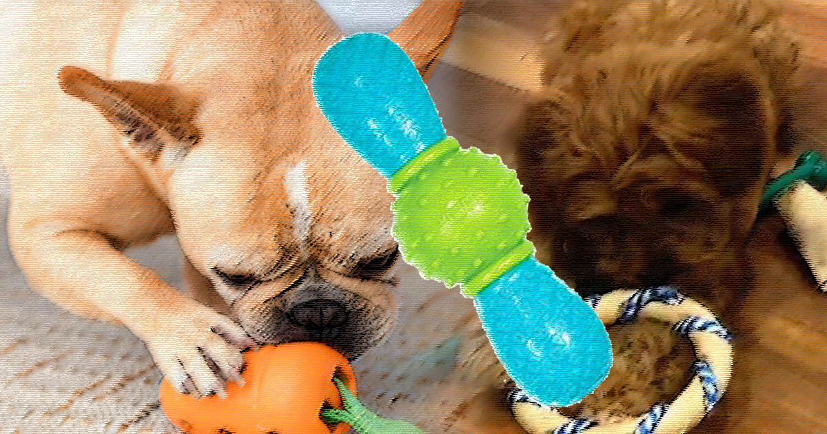 Dogchewtoy