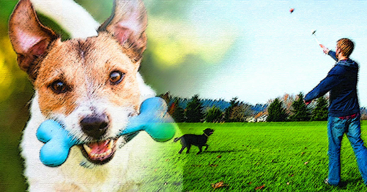 Fetch