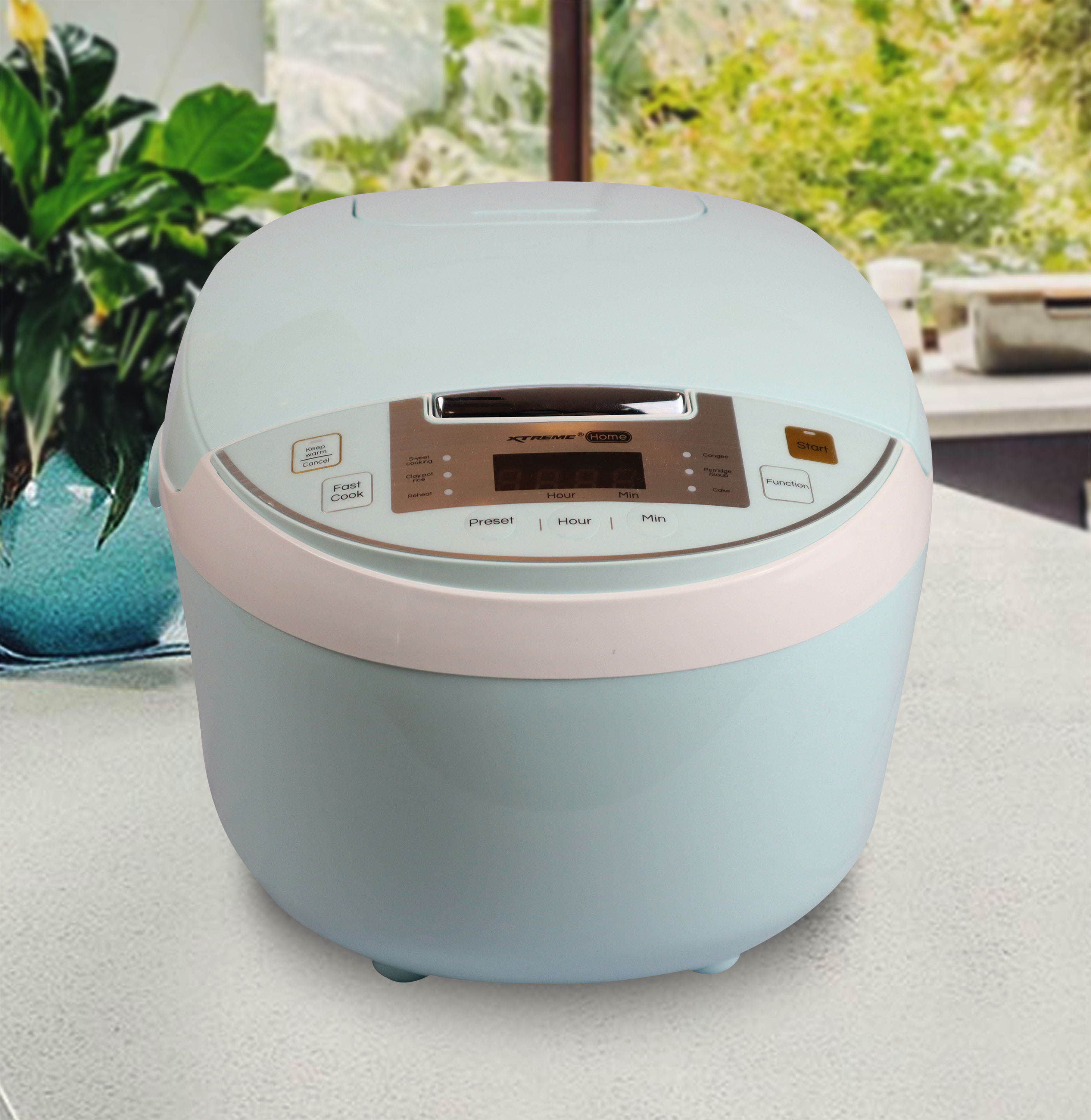 Digital Multi-cooker 1 copy