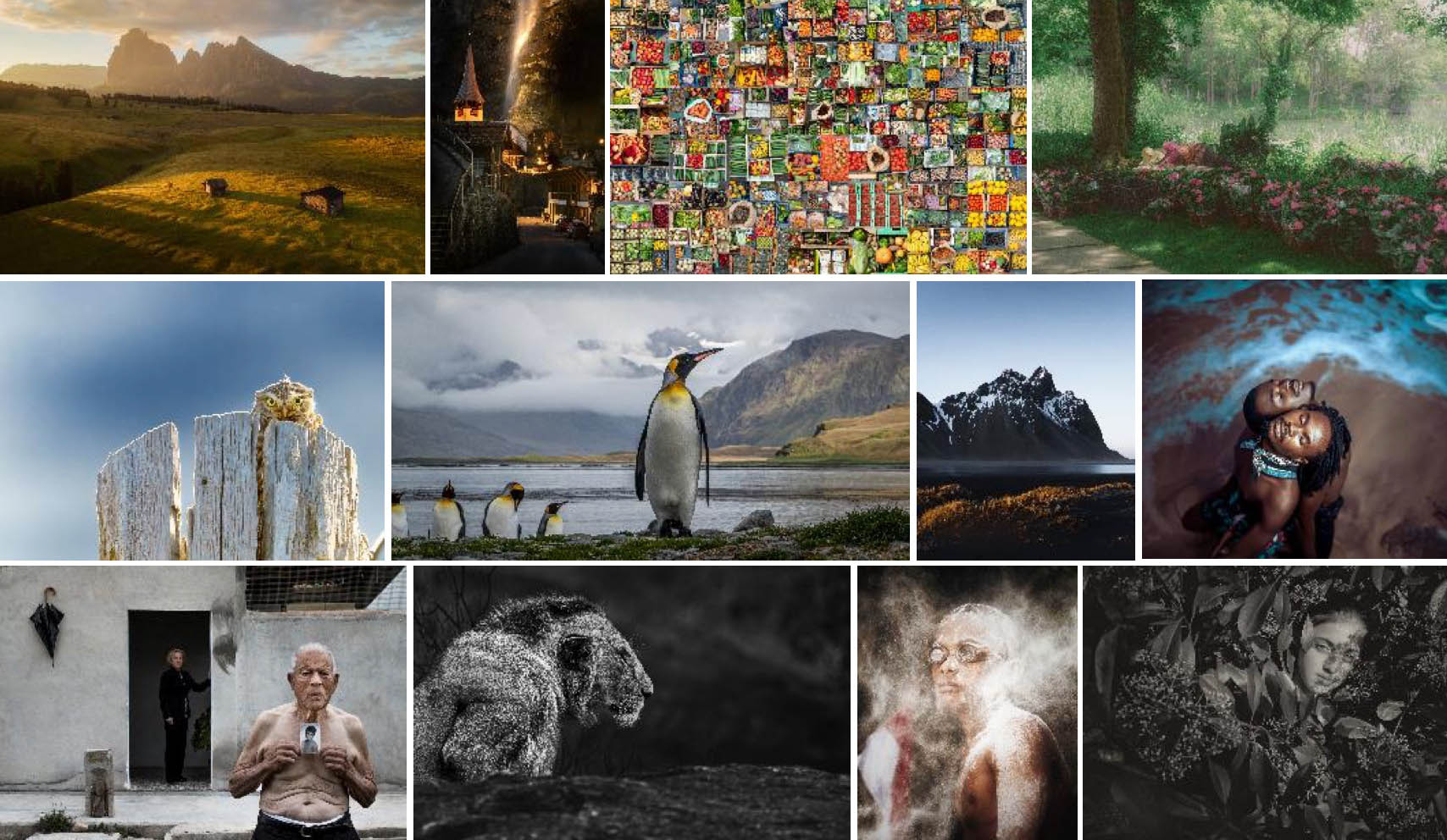Sony World Photography Awards 2021 judges and new competition categories announced