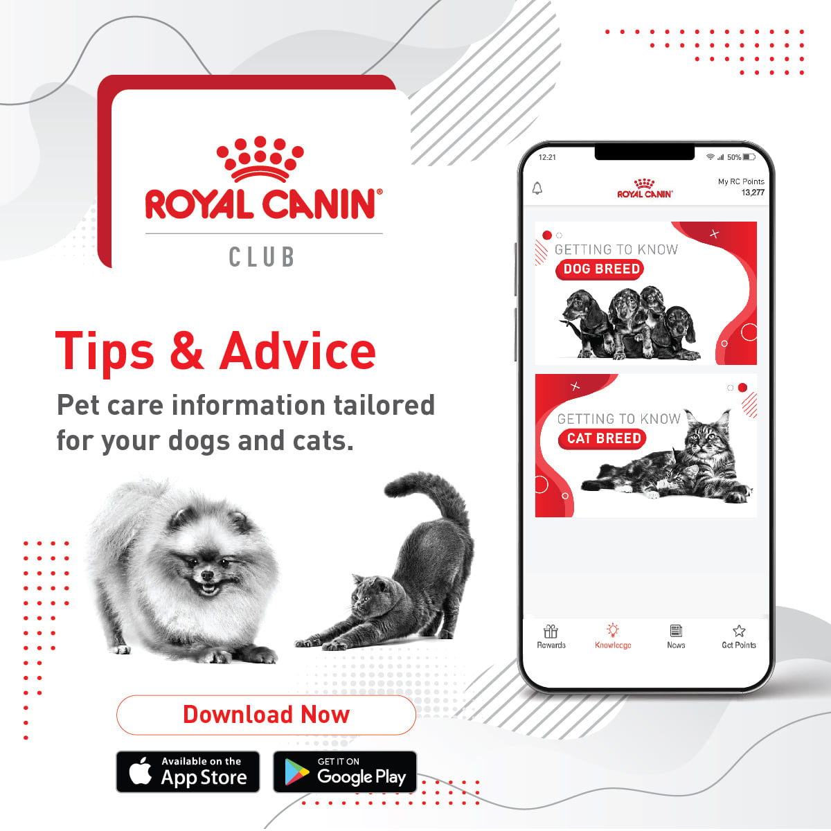 Mobile app Royal Canin Club launches exclusive webinar series on pet nutrition and ownership amid the new normal