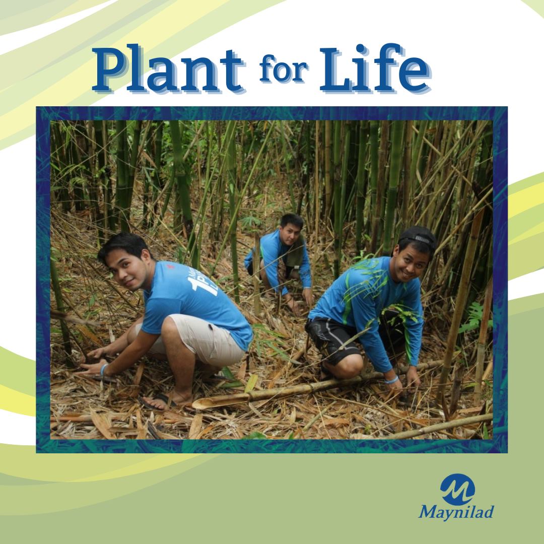 Taking the lead: MVP Group sharpens focus on environment and sustainability projects in pandemic