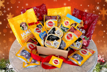 Pedigree Store on Shopee offers big discounts up to 40% off at 12.12 sale