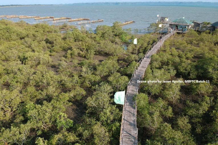 Globe partners with ZSL Philippines on mangrove protection for climate resilient coastal communities