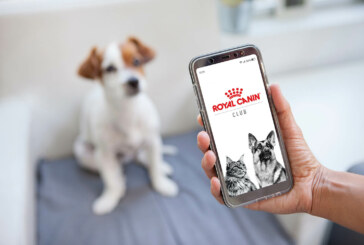 Start your pet parenting journey with Royal Canin Club