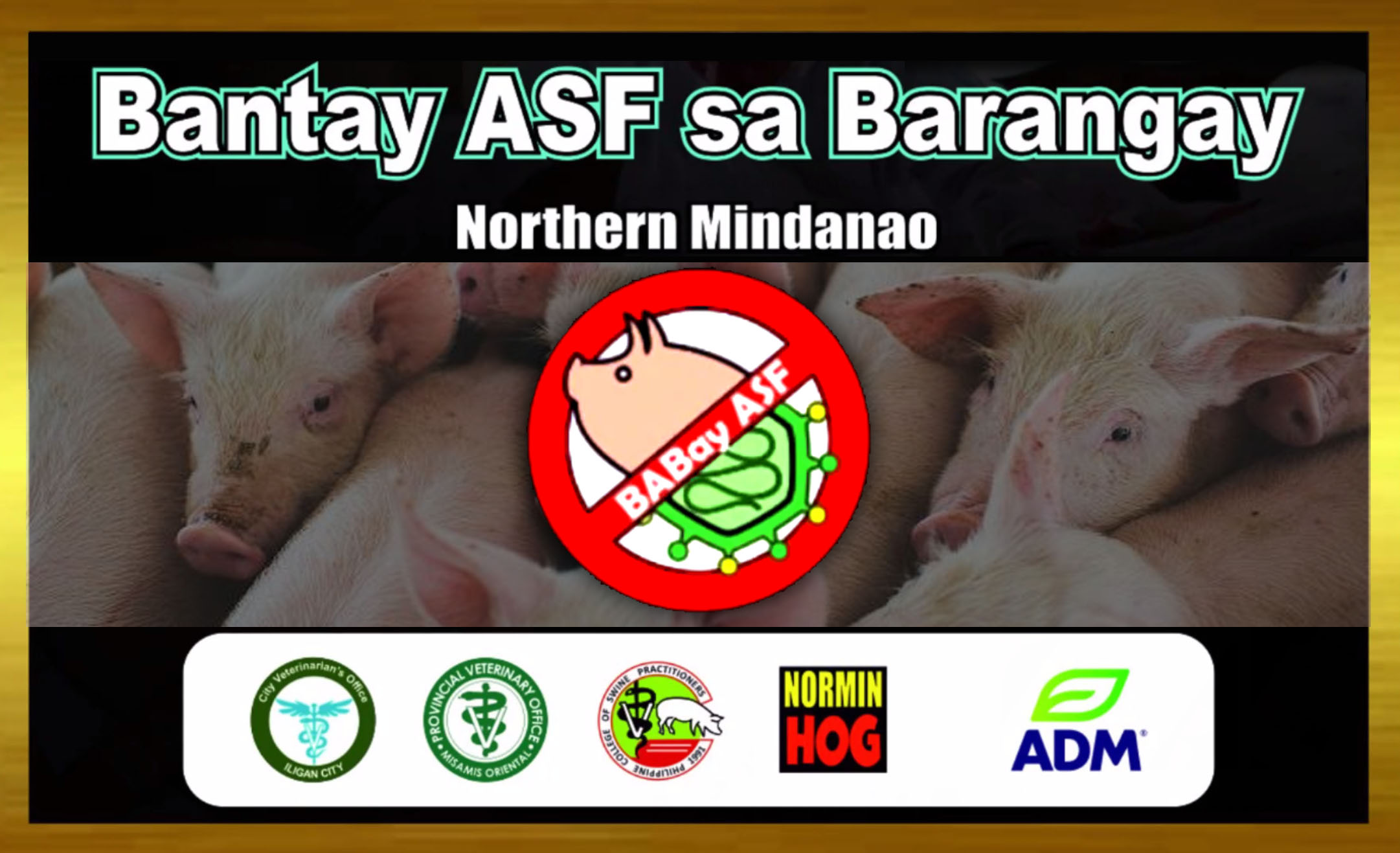 ADM together with PCSP, public and private sector helps prevent the spread of African Swine Fever in PH