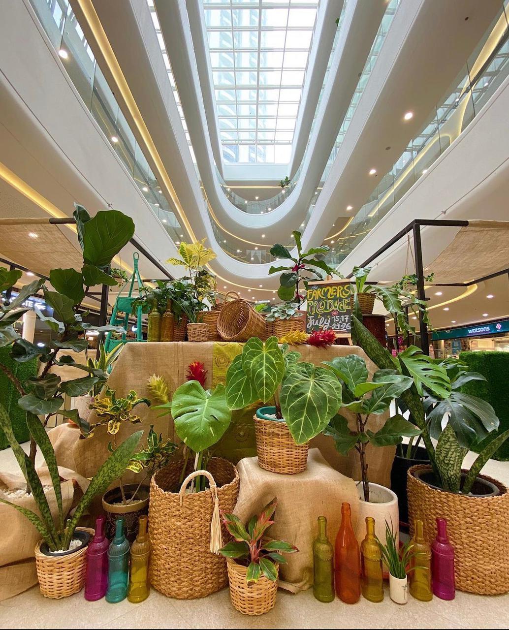 SM Supermalls brings back Farmers Produce with seasonal and organic products from June 3rd to July 25th