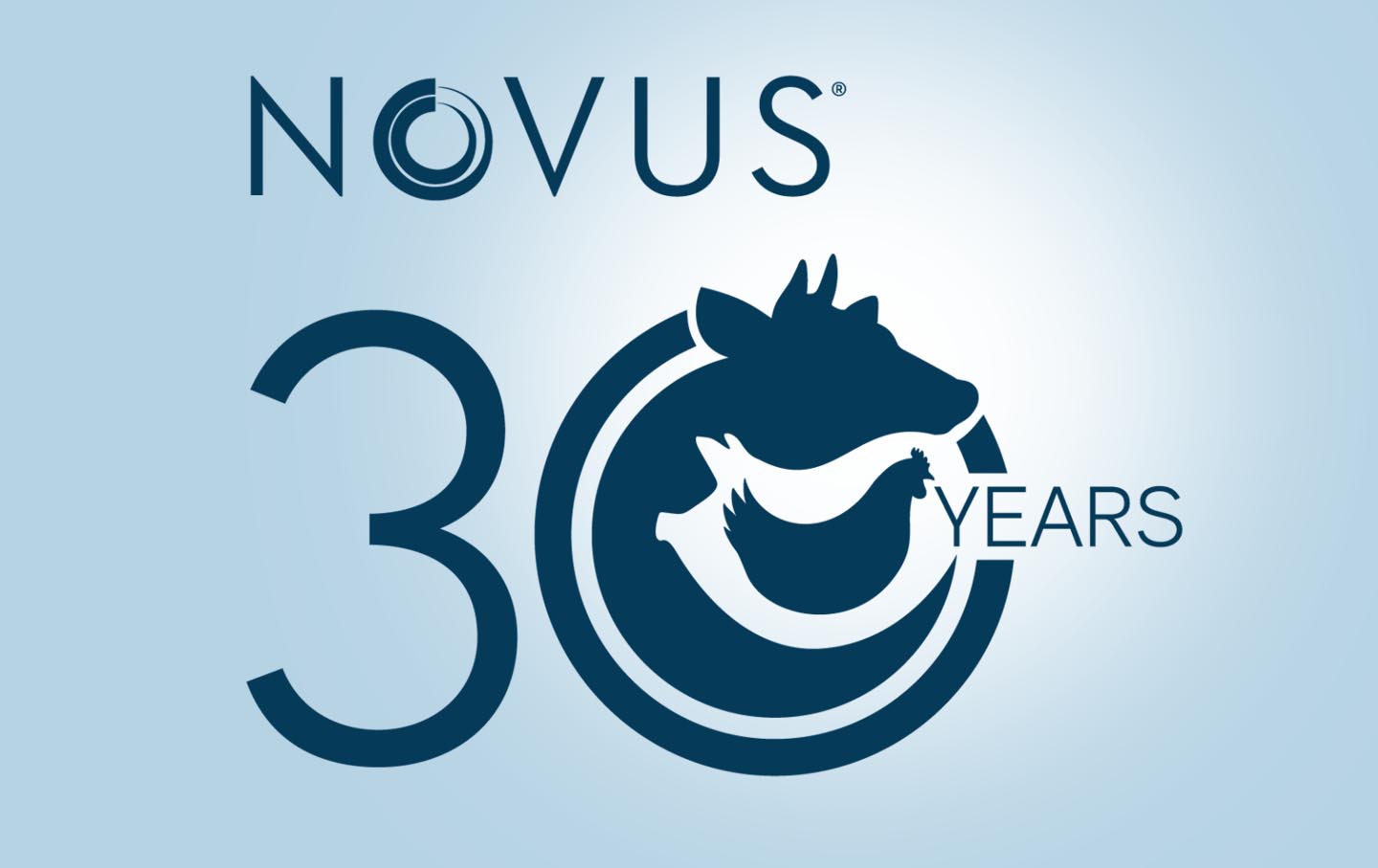 Novus celebrates anniversary this month, planning for a long future