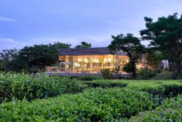 Innisfree lists green tea farms in Korea’s Jeju island on Airbnb