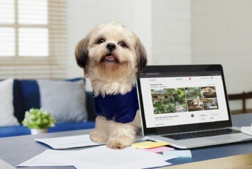 The Philippines’ most famous Smiling Dog Luffy B unveils  his wishlist of pet-friendly Airbnb Stays