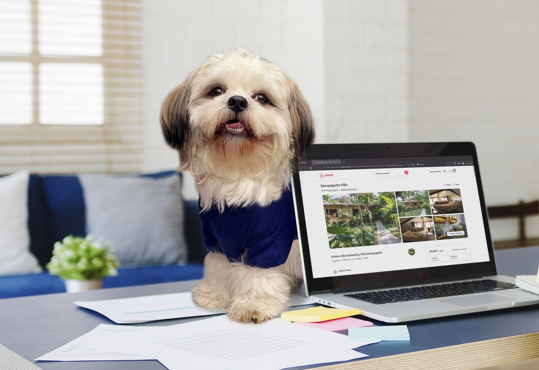 The Philippines’ most famous Smiling Dog Luffy B unveils  his wishlist of pet-friendly Airbnb Stays