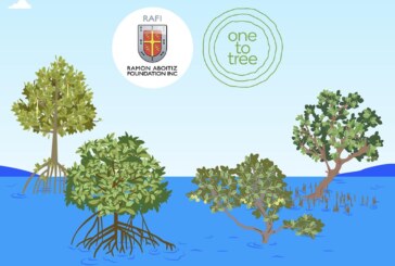 GCash to plant half a million mangrove trees in Cebu