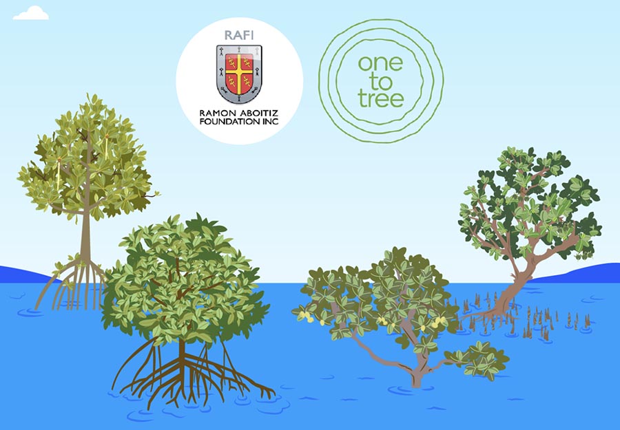 GCash to plant half a million mangrove trees in Cebu