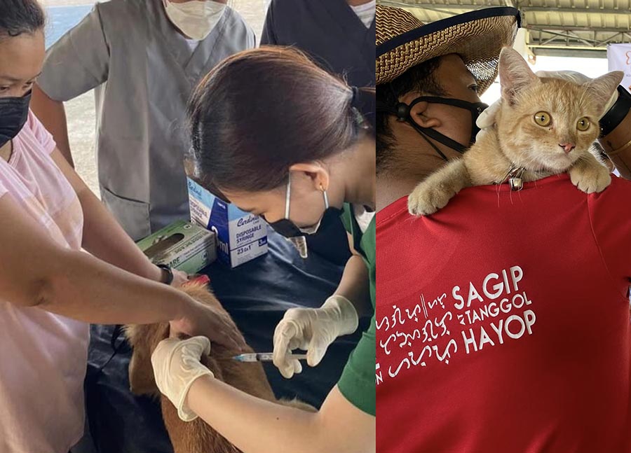 Pilmico and Animal Kingdom Foundation mark Rabies Awareness Month with free vaccination drive