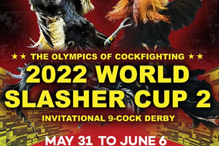 2022 World Slasher Cup 2 expected to attract world’s top cockers