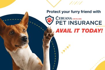 Dog insurance you can afford