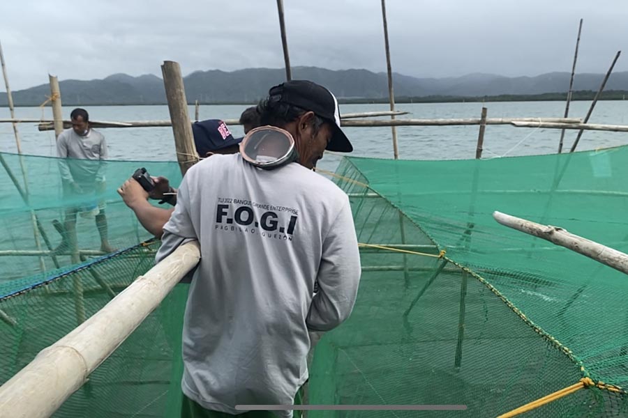 Uplifting lives through bangus farming in Pagbilao Grande Island