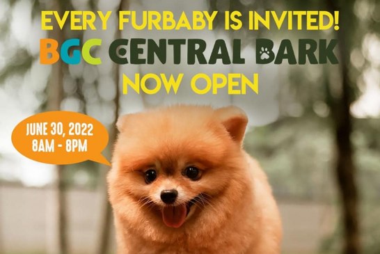More off-leash, tail-wagging fun await doggos at BGC Central Bark 2