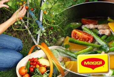Top Five Tips to Start a Vegetable Garden