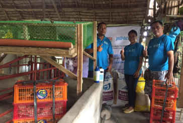 Pilmico gives livelihood assistance to ASF-hit swine raisers in Mindanao; Cebu-Bohol beneficiaries give back to communities