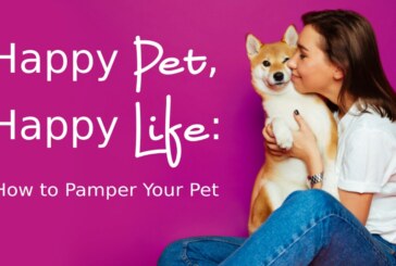 Happy Pet, Happy Life: How to Pamper Your Pet