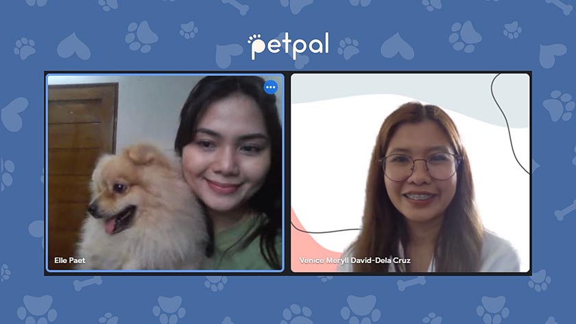 917Ventures’ PetPal Targets US$1.6 Billion Pet Care Market in SEA – Expands Access to Essential Pet Care for Filipinos