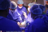 Breaking Boundaries: Pioneering Organ Donation Training Shaping the Future of Transplantation in the Philippines