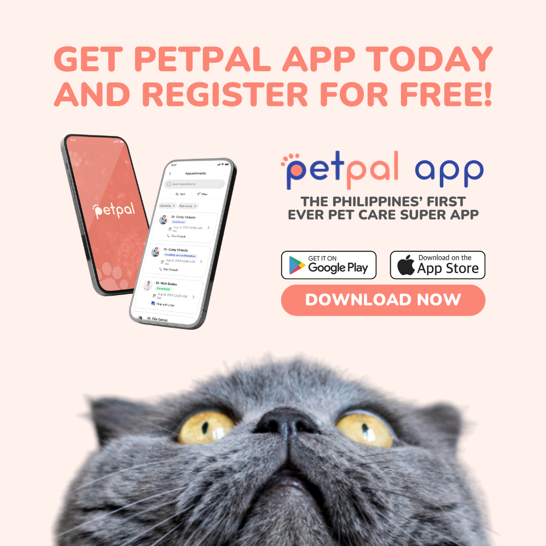 PetPal launches PH’s first allinone pet care super app MegaBites