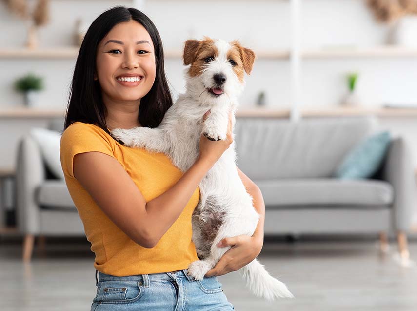 Protect your pets from the risks of changing weather with Igloo’s Pet Insure