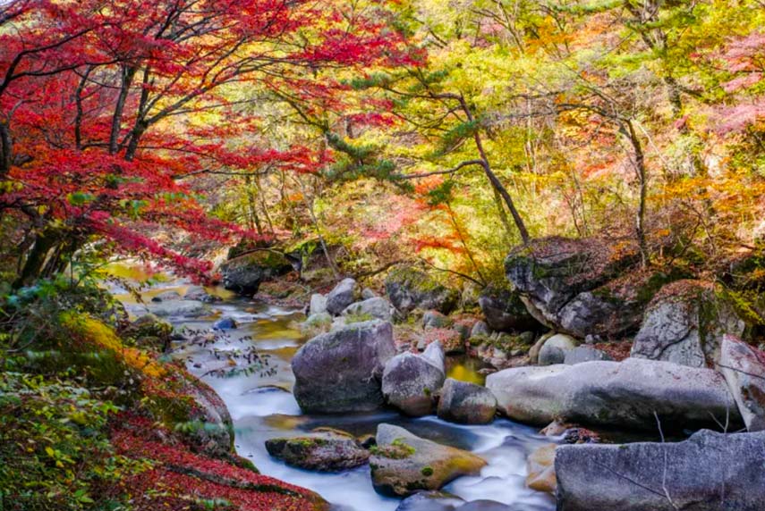 Take Steps to Take Steps Leave Nothing But Footprints Japanese Nature